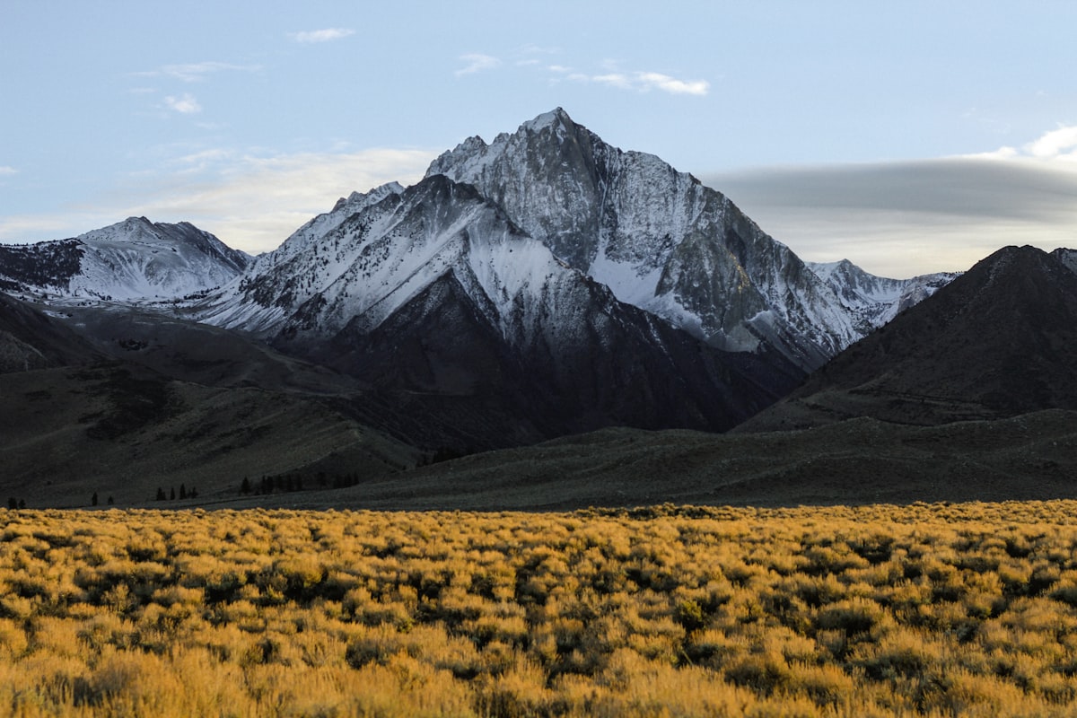 Mountain landscape